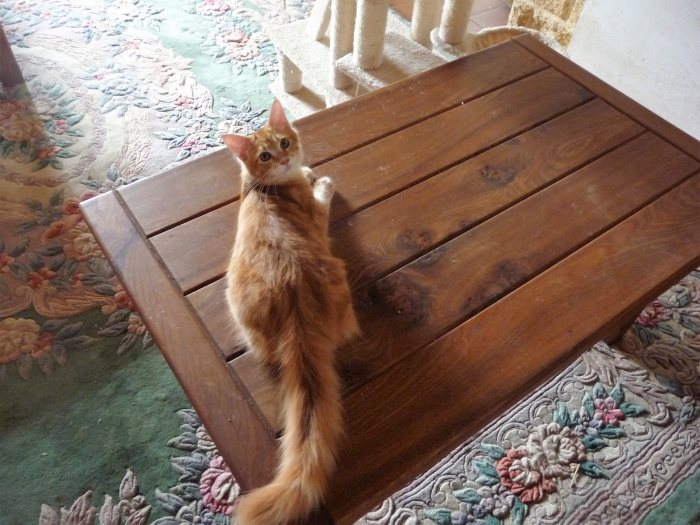 handmade wooden furniture